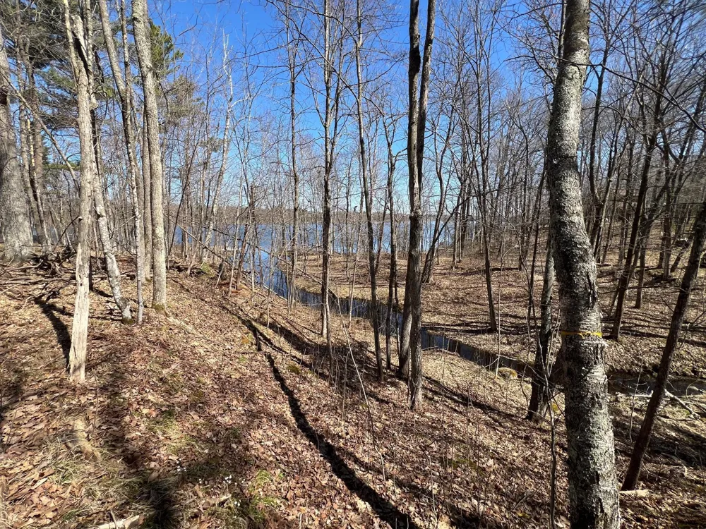 43TBD Red Oak Lane Stone Lake, WI 54876