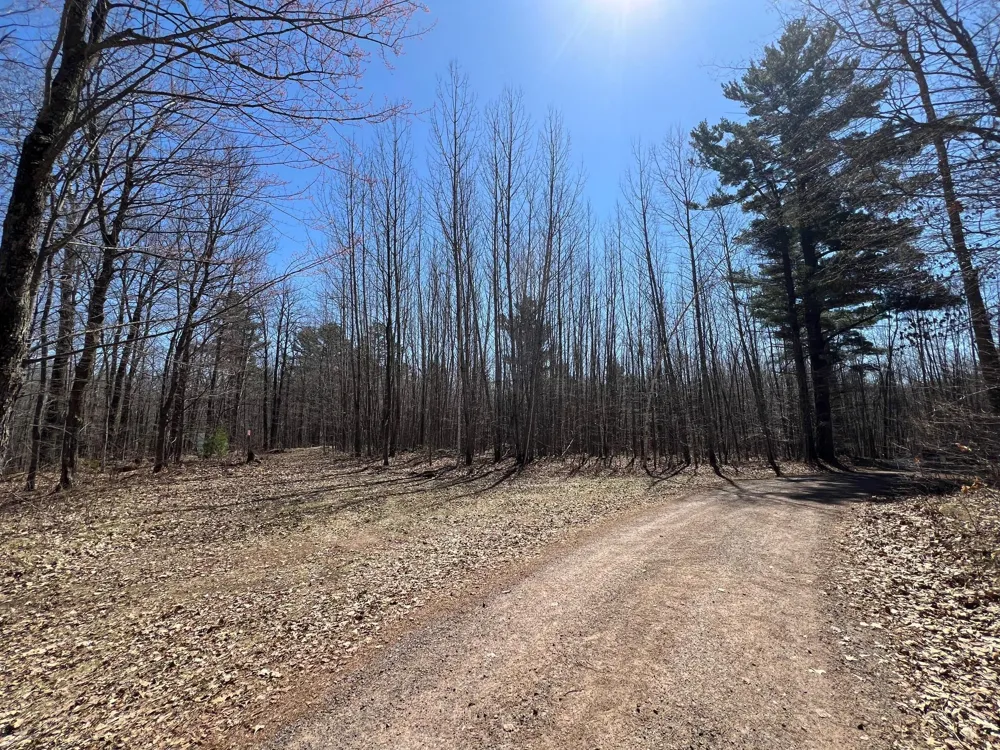 43TBD Red Oak Lane Stone Lake, WI 54876