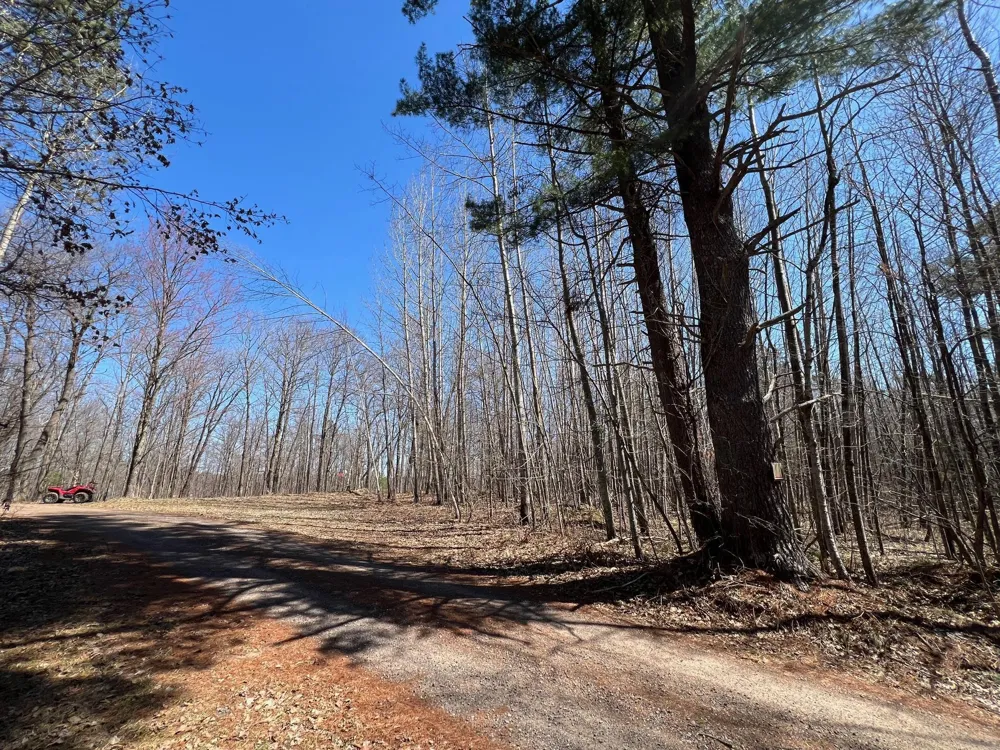 43TBD Red Oak Lane Stone Lake, WI 54876