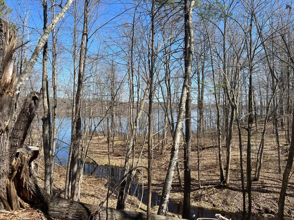 43TBD Red Oak Lane Stone Lake, WI 54876