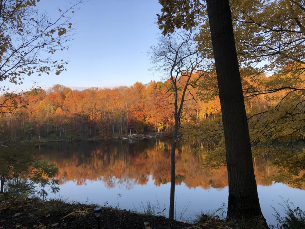 4336 Hills Haven Road Buchanan, MI 49107