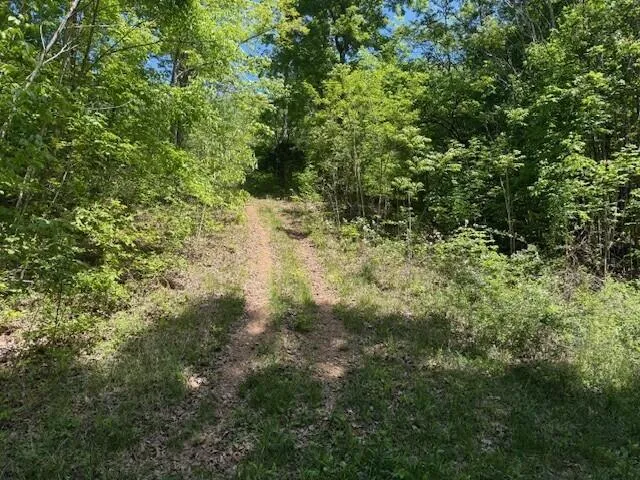 Pitts Gap Mtn Road Pikeville, TN 37367
