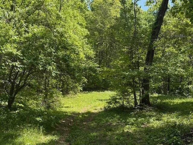 Pitts Gap Mtn Road Pikeville, TN 37367