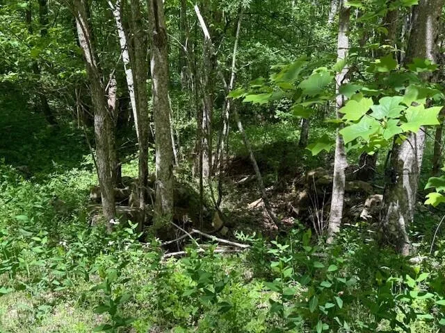 Pitts Gap Mtn Road Pikeville, TN 37367