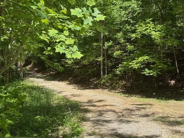 Pitts Gap Mtn Road Pikeville, TN 37367