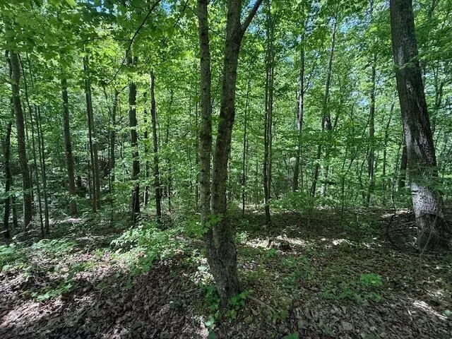 Pitts Gap Mtn Road Pikeville, TN 37367