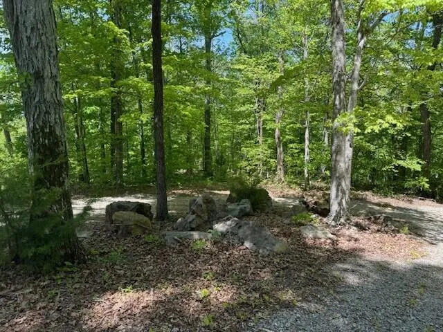 Pitts Gap Mtn Road Pikeville, TN 37367