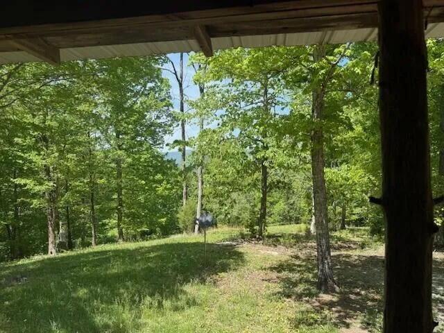 Pitts Gap Mtn Road Pikeville, TN 37367
