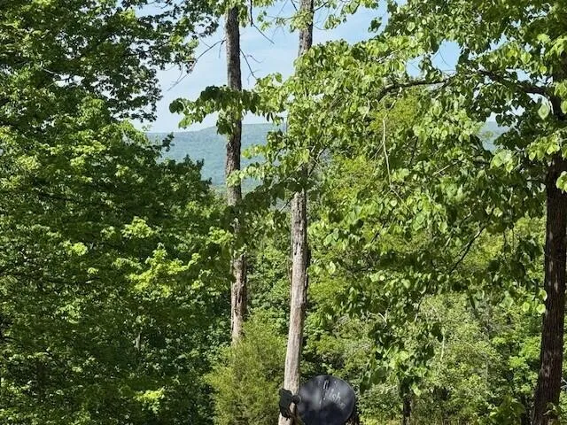 Pitts Gap Mtn Road Pikeville, TN 37367