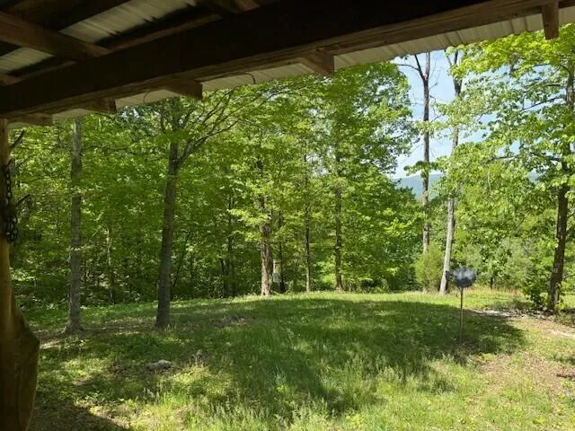 Pitts Gap Mtn Road Pikeville, TN 37367