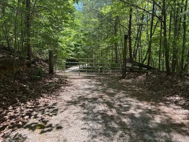Pitts Gap Mtn Road Pikeville, TN 37367