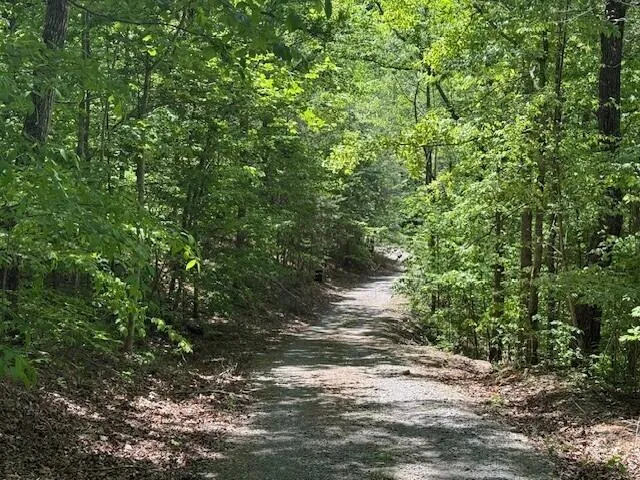 Pitts Gap Mtn Road Pikeville, TN 37367