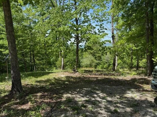 Pitts Gap Mtn Road Pikeville, TN 37367