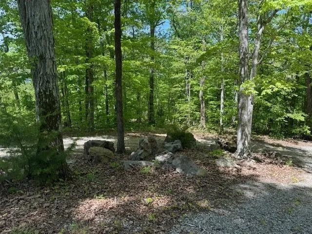 Pitts Gap Mtn Road Pikeville, TN 37367