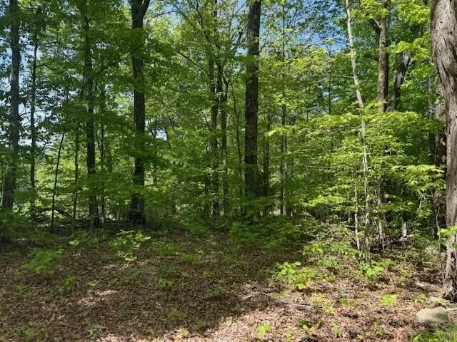 0 Pitts Gap Mtn Road Pikeville, TN 37367