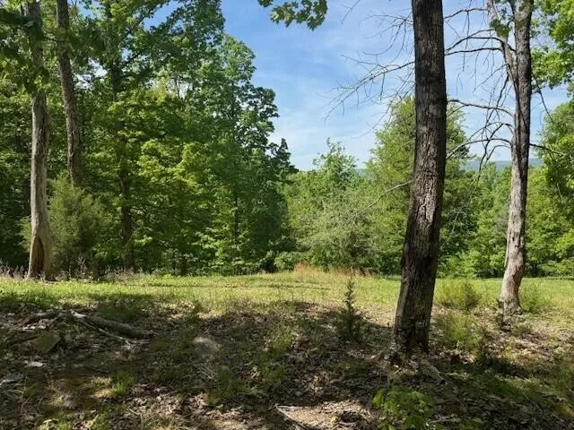 0 Pitts Gap Mtn Road Pikeville, TN 37367