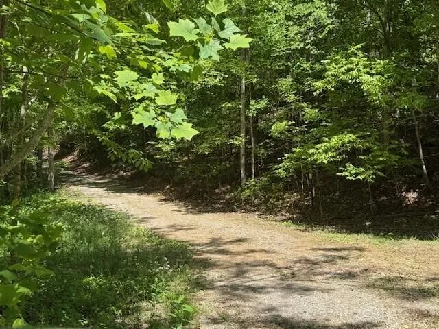 0 Pitts Gap Mtn Road Pikeville, TN 37367