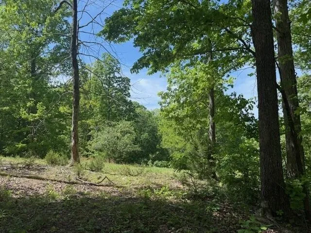 0 Pitts Gap Mtn Road Pikeville, TN 37367