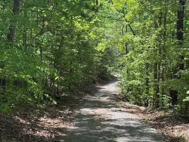 0 Pitts Gap Mtn Road Pikeville, TN 37367