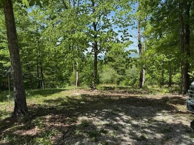 0 Pitts Gap Mtn Road Pikeville, TN 37367