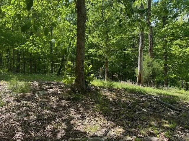 0 Pitts Gap Mtn Road Pikeville, TN 37367
