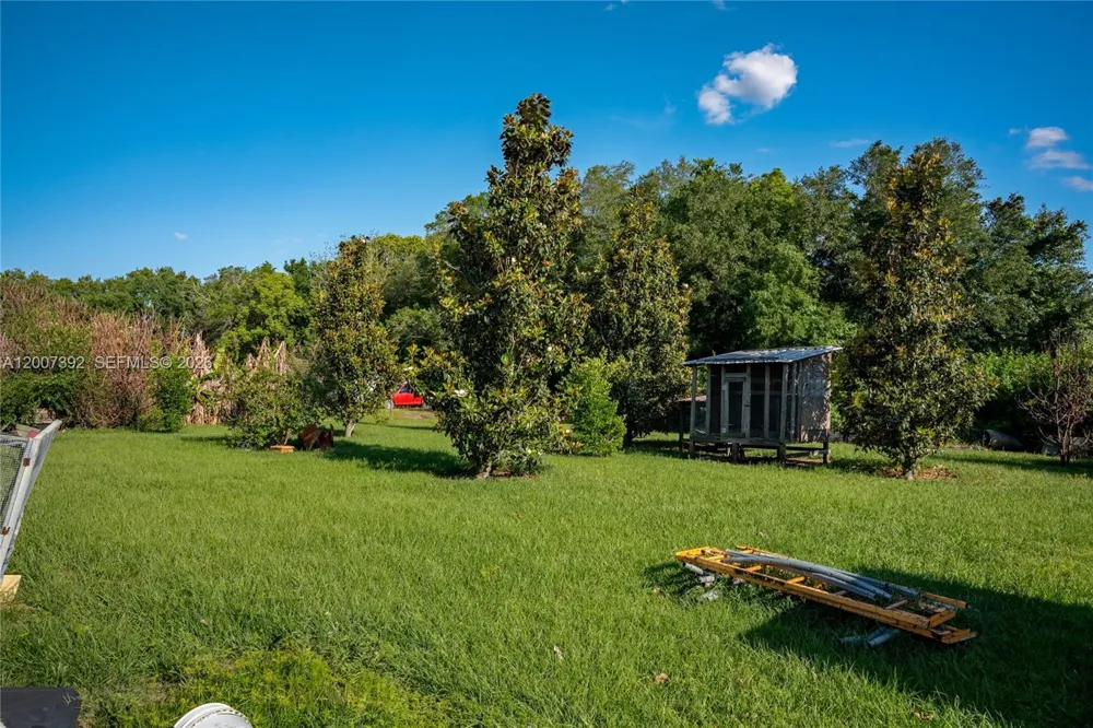 6924 Holly Creek Rd Orlando, FL 32798