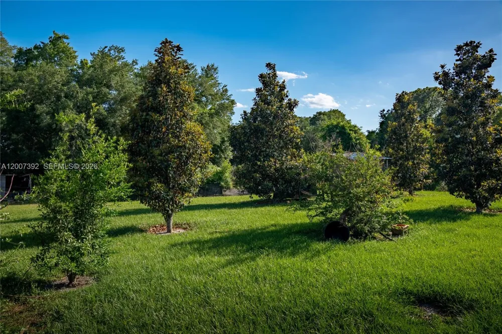 6924 Holly Creek Rd Orlando, FL 32798