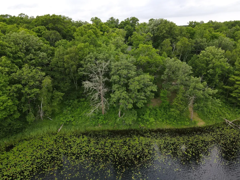 7160 Turtle Lake Drive NW Walker, MN 56484