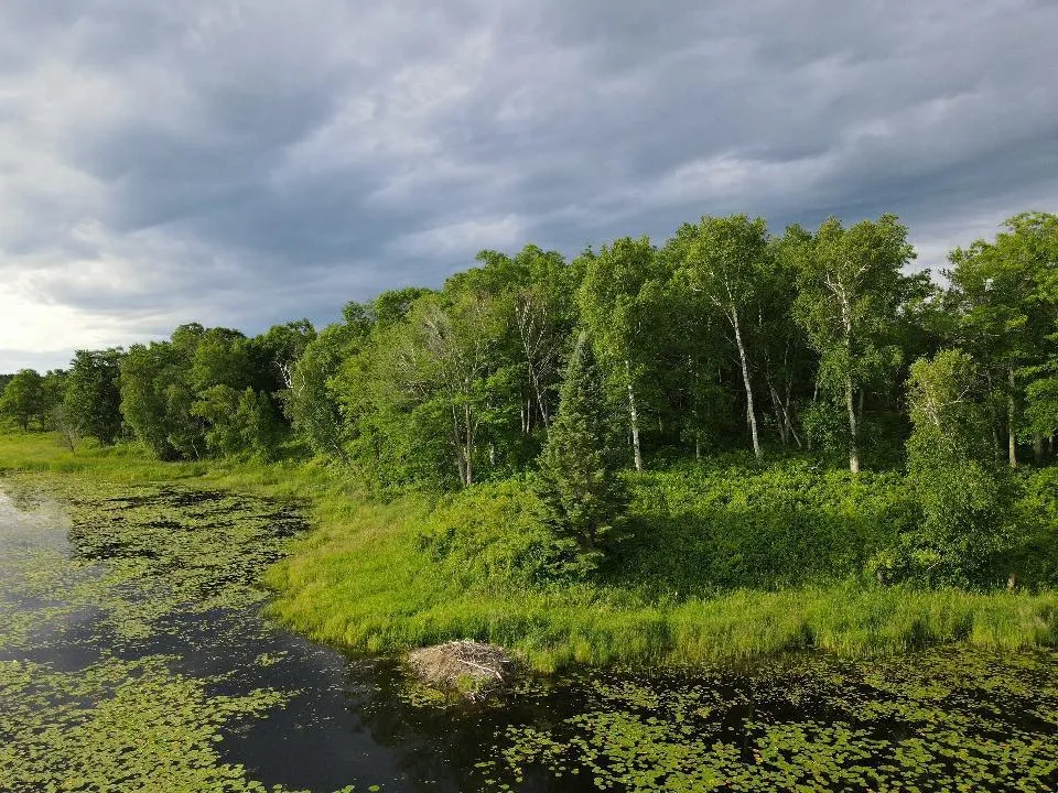 7160 Turtle Lake Drive NW Walker, MN 56484