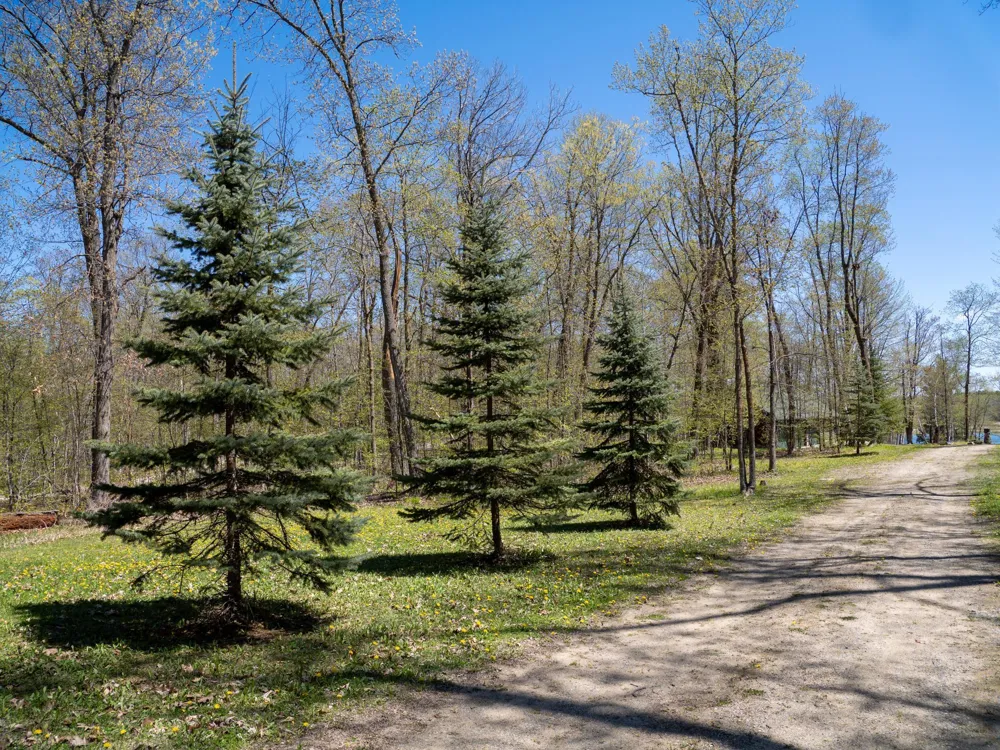 7160 Turtle Lake Drive NW Walker, MN 56484