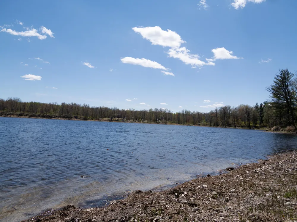 7160 Turtle Lake Drive NW Walker, MN 56484