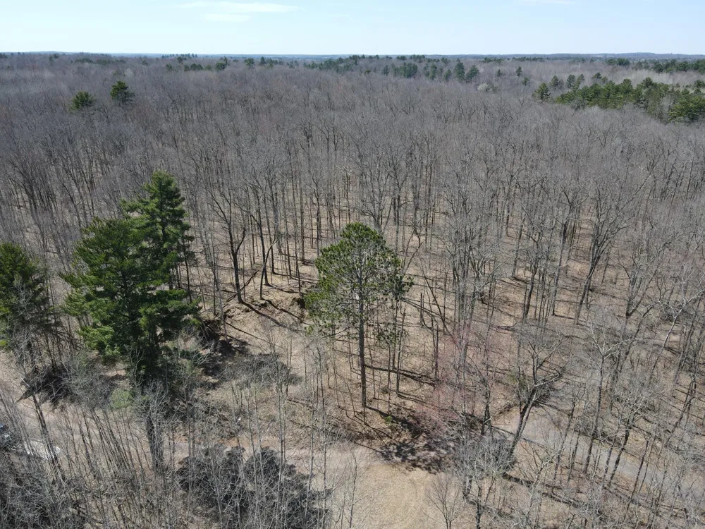 TBD Red Oak Lane Stone Lake, WI 54876