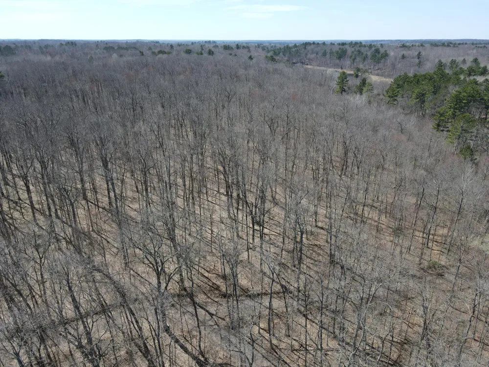 TBD Red Oak Lane Stone Lake, WI 54876