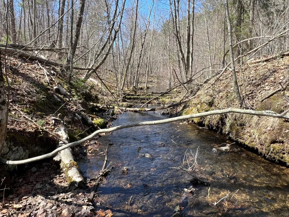 TBD Red Oak Lane Stone Lake, WI 54876