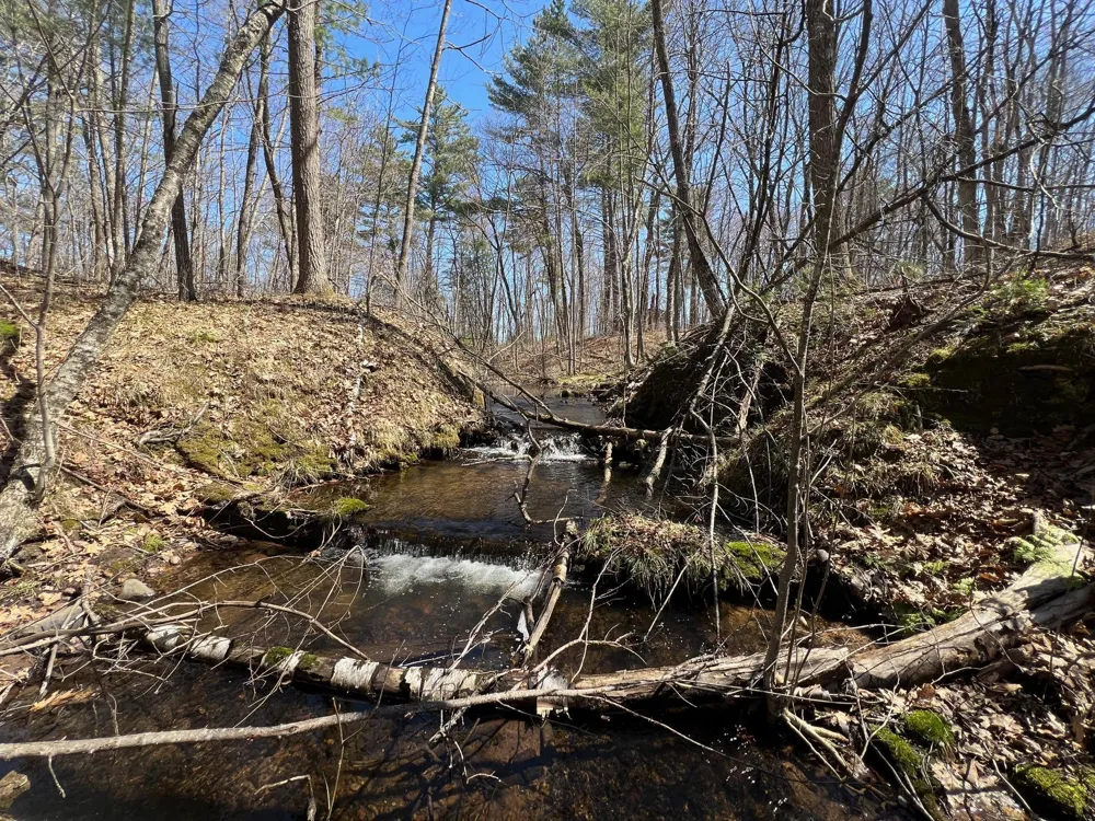 TBD Red Oak Lane Stone Lake, WI 54876