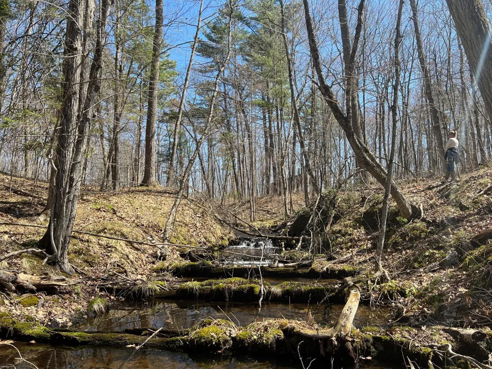 TBD Red Oak Lane Stone Lake, WI 54876