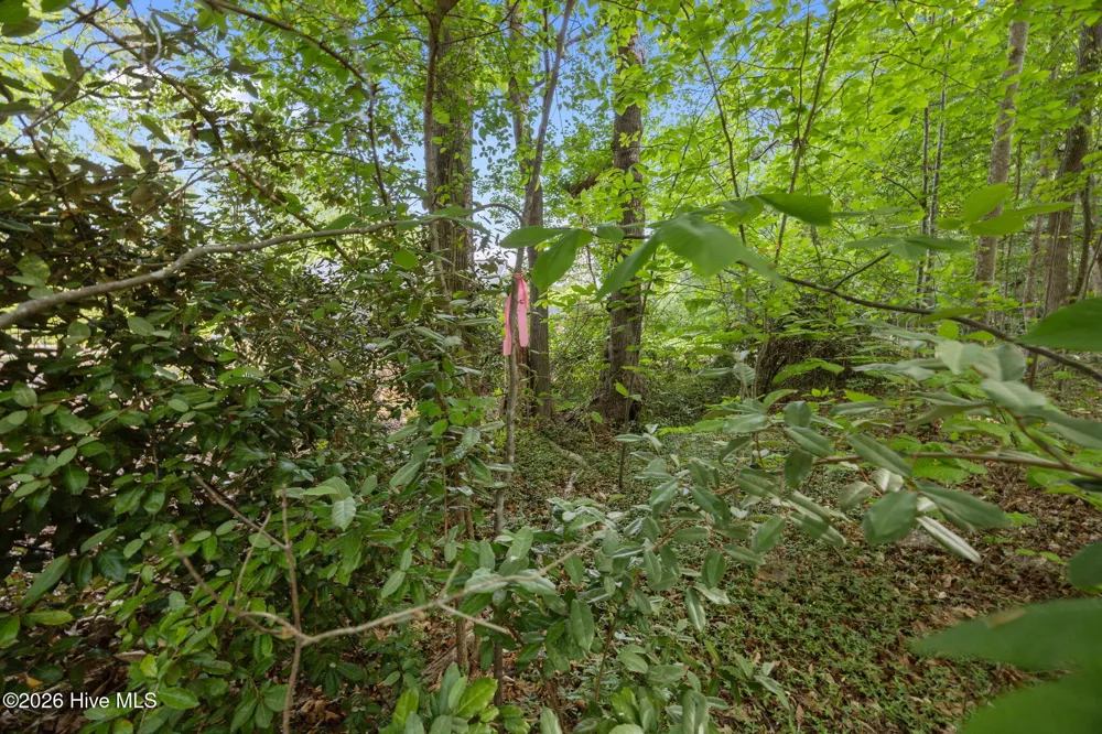 000 Hayley Street Warrenton, NC 27589