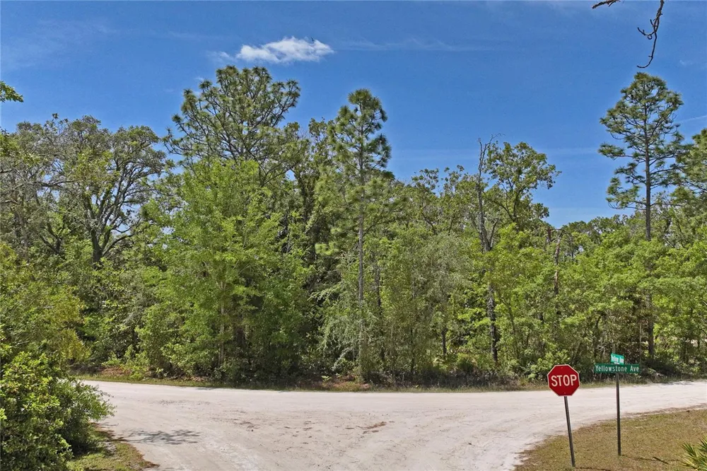 0 YELLOWSTONE AVENUE Weeki Wachee, FL 34614