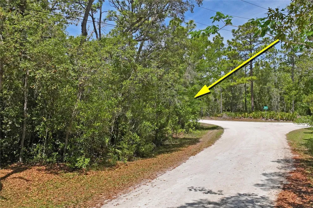 0 YELLOWSTONE AVENUE Weeki Wachee, FL 34614