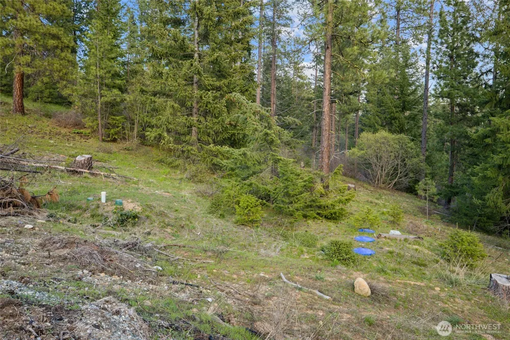 26 Coralbell (Lot 26) Lane Roslyn, WA 98941