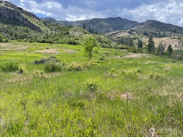 2 Lot 2 Black Canyon Road Pateros, WA 98846