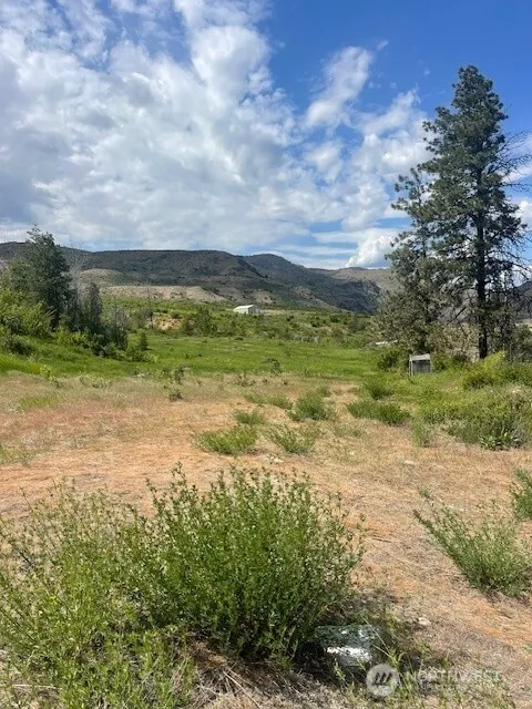 2 Lot 2 Black Canyon Road Pateros, WA 98846