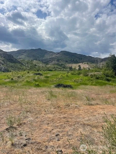 2 Lot 2 Black Canyon Road Pateros, WA 98846