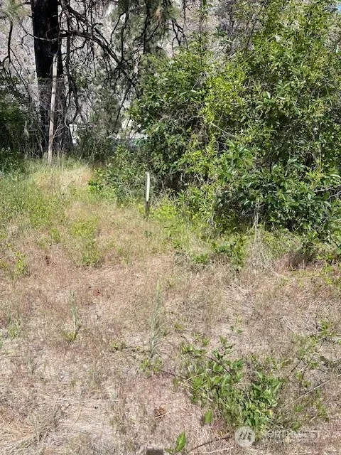 2 Lot 2 Black Canyon Road Pateros, WA 98846