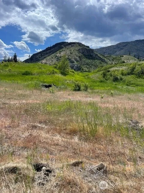 2 Lot 2 Black Canyon Road Pateros, WA 98846