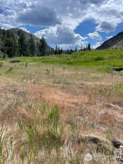 2 Lot 2 Black Canyon Road Pateros, WA 98846