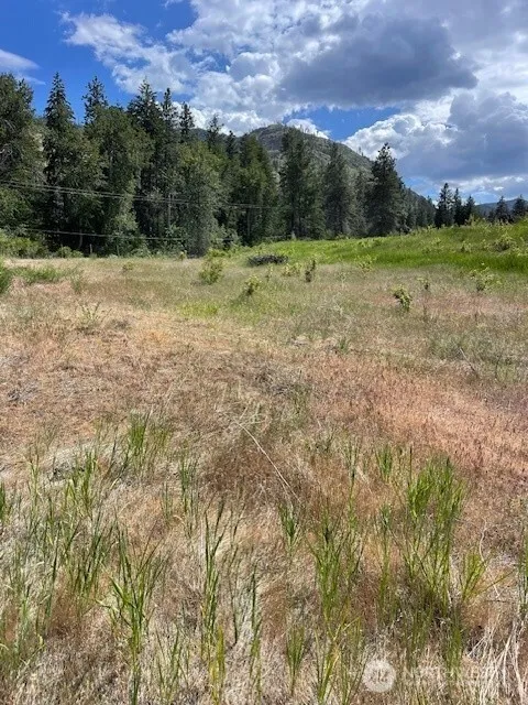 2 Lot 2 Black Canyon Road Pateros, WA 98846