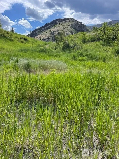 2 Lot 2 Black Canyon Road Pateros, WA 98846