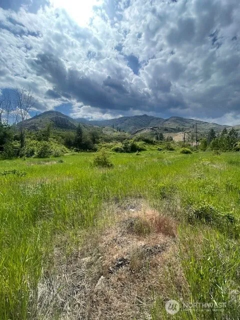 2 Lot 2 Black Canyon Road Pateros, WA 98846