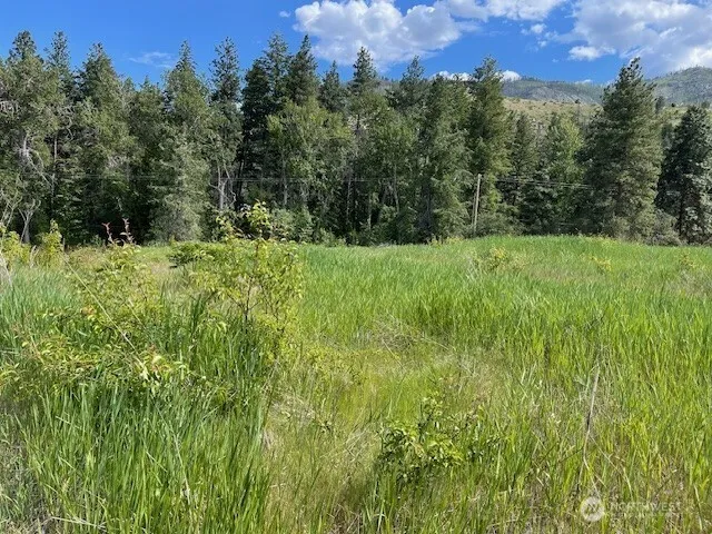 2 Lot 2 Black Canyon Road Pateros, WA 98846